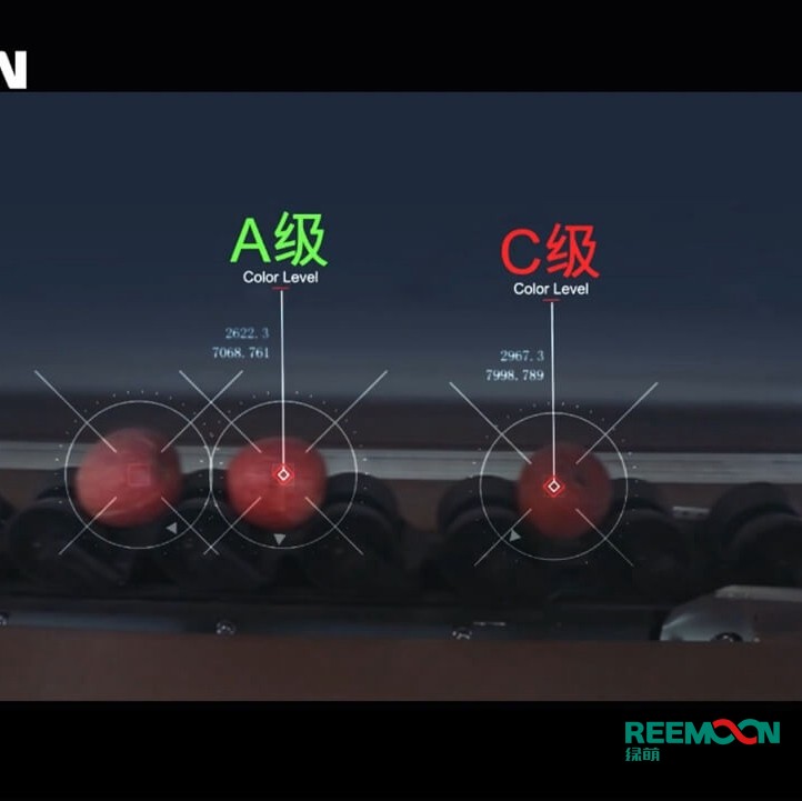 綠萌水果分選機多少錢？江西綠萌科技控股有限公司廠家直銷報價