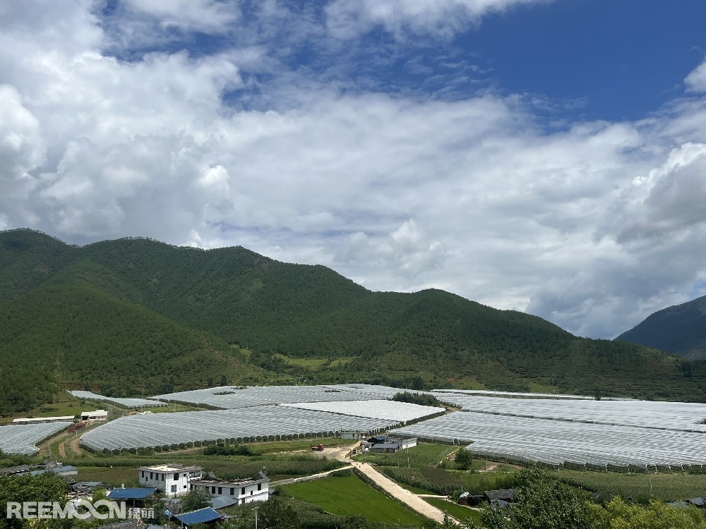 麗江市蘋果種植主產(chǎn)區(qū)海拔2400-2700米，良好的立體環(huán)境條件造就了麗江蘋果糖度高、果肉緊密、硬度高、無污染的品質(zhì)特點(diǎn)。2019年，在全國(guó)種植產(chǎn)區(qū)的甄選中，鑫榮懋選定了云南省麗江市蘋果優(yōu)勢(shì)產(chǎn)區(qū)作為未來蘋果種植項(xiàng)目的實(shí)施地，目前已種植新西蘭引進(jìn)的優(yōu)良蘋果品種。鑫榮懋以新品種、新技術(shù)及高品質(zhì)為發(fā)展蘋果種植的新契機(jī)，